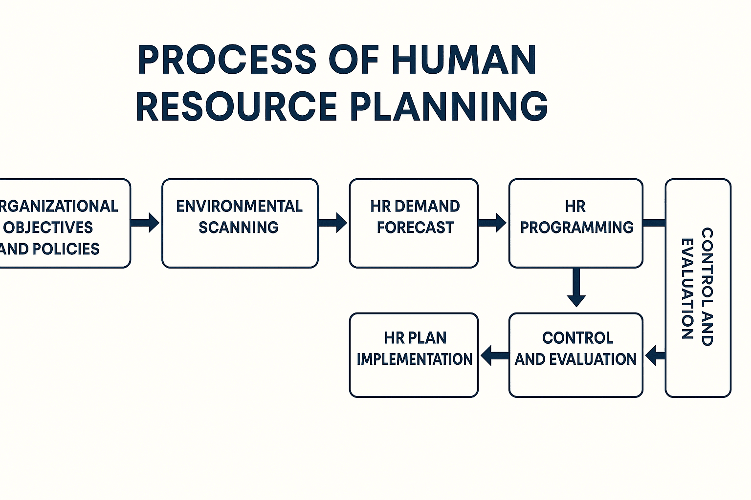 The Complete Process of Human Resource Planning: Step-by-Step Guide