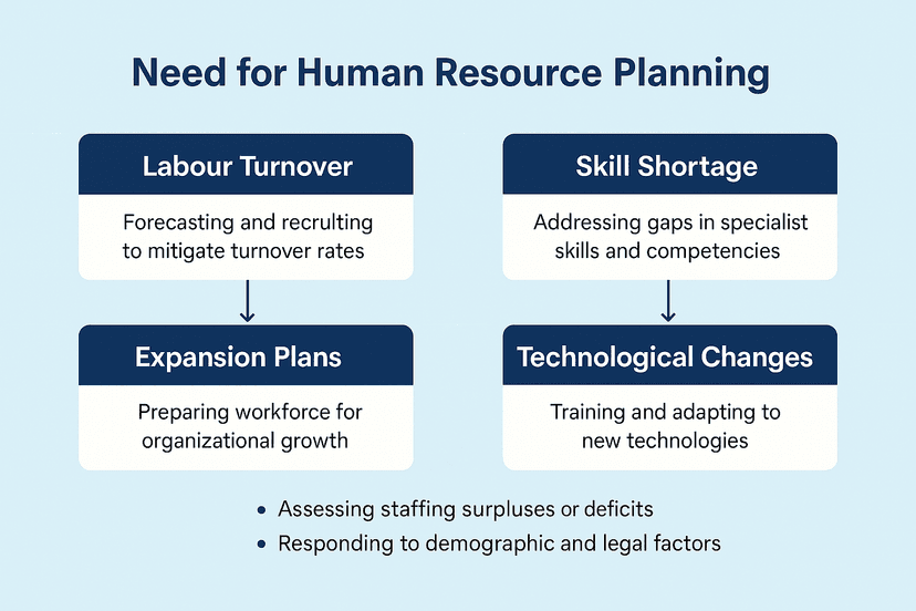The Complete Process of Human Resource Planning: Step-by-Step Guide ...