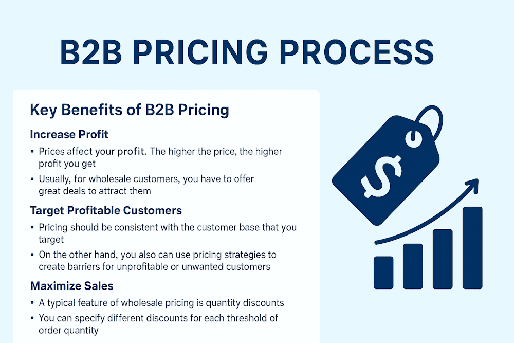 B2B Pricing Process: Strategy, Mistakes, and Key Insights